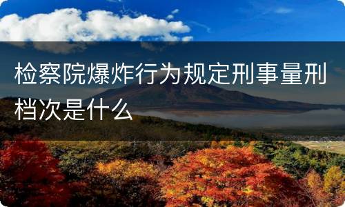 检察院爆炸行为规定刑事量刑档次是什么