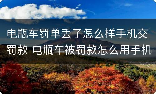 电瓶车罚单丢了怎么样手机交罚款 电瓶车被罚款怎么用手机缴纳没有罚单丢了