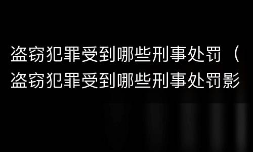 盗窃犯罪受到哪些刑事处罚（盗窃犯罪受到哪些刑事处罚影响）