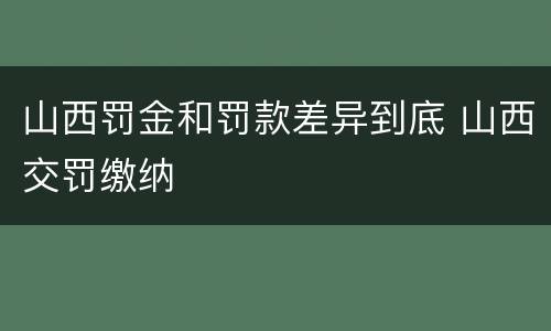 山西罚金和罚款差异到底 山西交罚缴纳