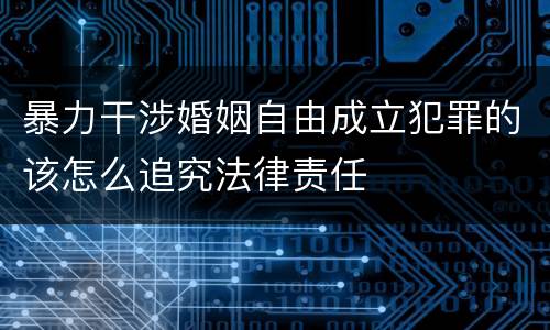 暴力干涉婚姻自由成立犯罪的该怎么追究法律责任