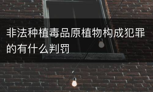 非法种植毒品原植物构成犯罪的有什么判罚