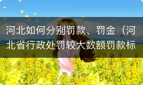 河北如何分别罚款、罚金（河北省行政处罚较大数额罚款标准）