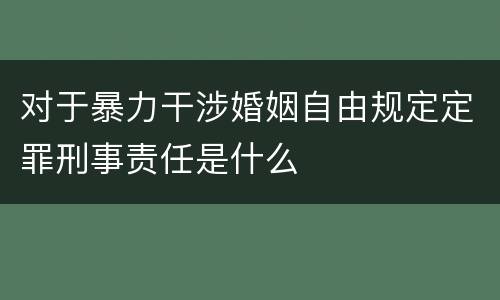 对于暴力干涉婚姻自由规定定罪刑事责任是什么
