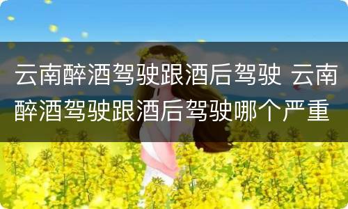 云南醉酒驾驶跟酒后驾驶 云南醉酒驾驶跟酒后驾驶哪个严重