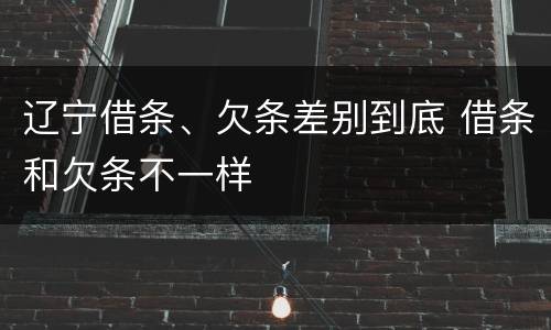 辽宁借条、欠条差别到底 借条和欠条不一样