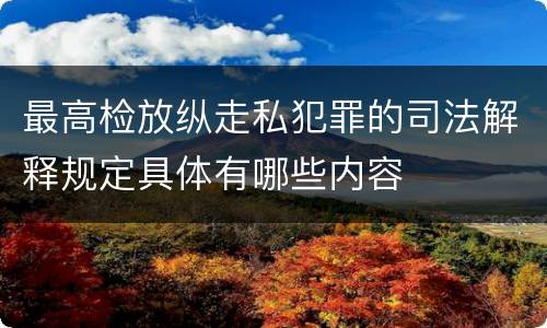 最高检放纵走私犯罪的司法解释规定具体有哪些内容