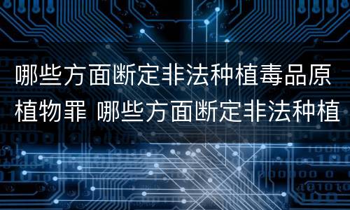 哪些方面断定非法种植毒品原植物罪 哪些方面断定非法种植毒品原植物罪