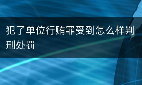 犯了单位行贿罪受到怎么样判刑处罚