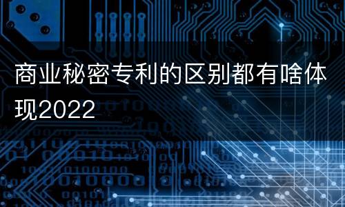 商业秘密专利的区别都有啥体现2022