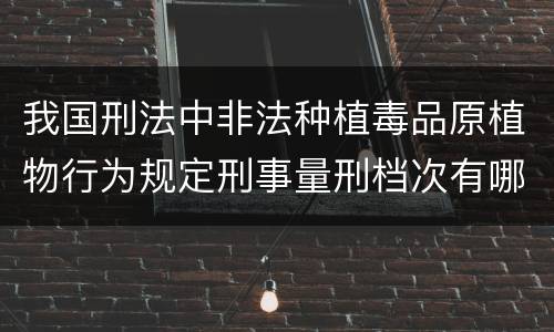 我国刑法中非法种植毒品原植物行为规定刑事量刑档次有哪些