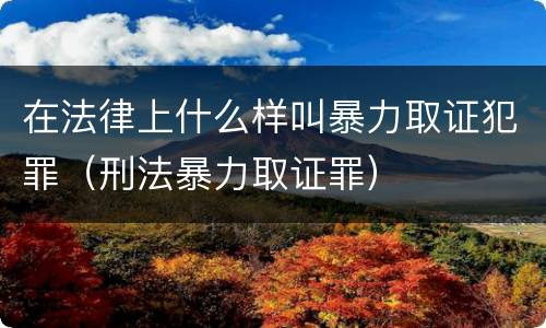 在法律上什么样叫暴力取证犯罪（刑法暴力取证罪）