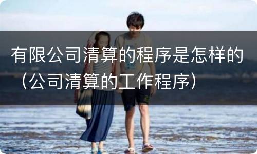 有限公司清算的程序是怎样的（公司清算的工作程序）