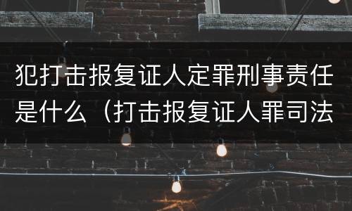 犯打击报复证人定罪刑事责任是什么（打击报复证人罪司法解释）