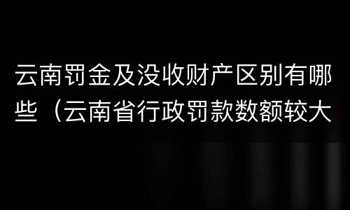 云南罚金及没收财产区别有哪些（云南省行政罚款数额较大标准）
