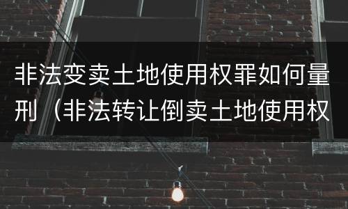 非法变卖土地使用权罪如何量刑（非法转让倒卖土地使用权罪量刑标准）