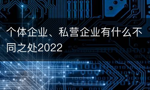 个体企业、私营企业有什么不同之处2022
