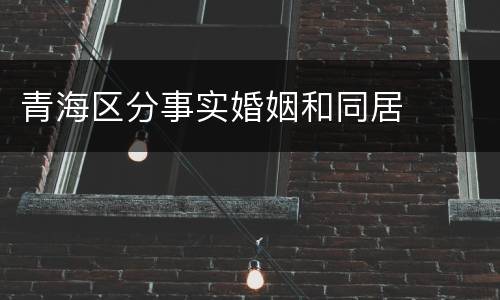 青海区分事实婚姻和同居