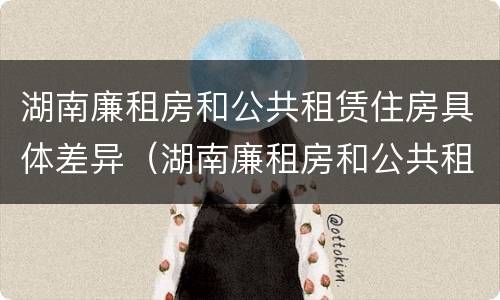 湖南廉租房和公共租赁住房具体差异（湖南廉租房和公共租赁住房具体差异有哪些）