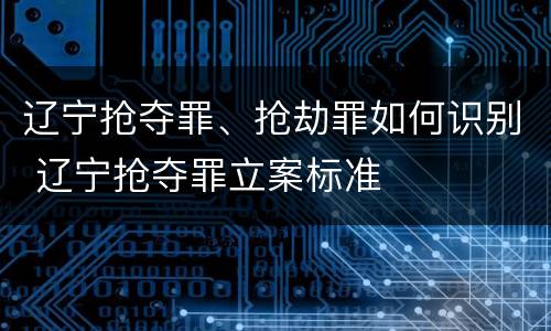 辽宁抢夺罪、抢劫罪如何识别 辽宁抢夺罪立案标准