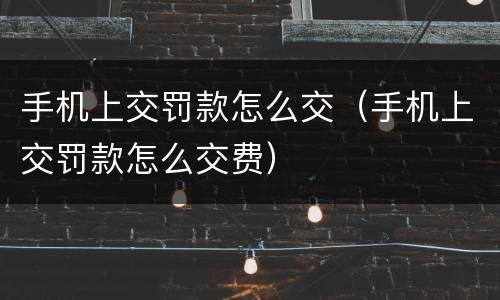 手机上交罚款怎么交（手机上交罚款怎么交费）