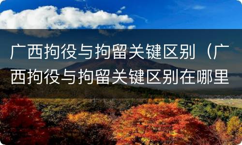广西拘役与拘留关键区别（广西拘役与拘留关键区别在哪里）