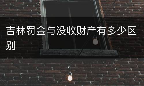 吉林罚金与没收财产有多少区别