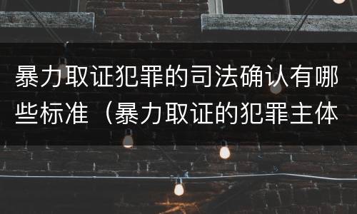 暴力取证犯罪的司法确认有哪些标准（暴力取证的犯罪主体）