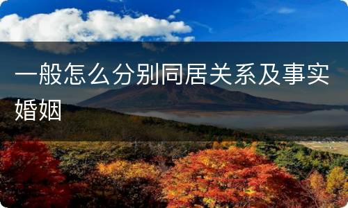 一般怎么分别同居关系及事实婚姻