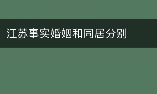 江苏事实婚姻和同居分别
