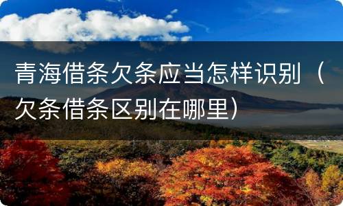 青海借条欠条应当怎样识别（欠条借条区别在哪里）