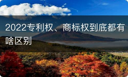 2022专利权、商标权到底都有啥区别