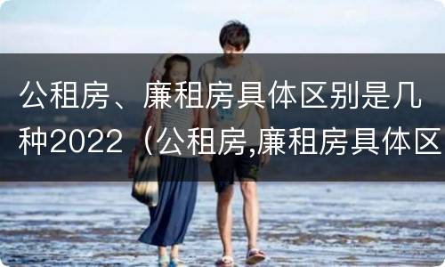 公租房、廉租房具体区别是几种2022（公租房,廉租房具体区别是几种2022年的）