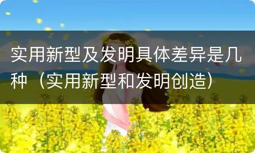 实用新型及发明具体差异是几种（实用新型和发明创造）