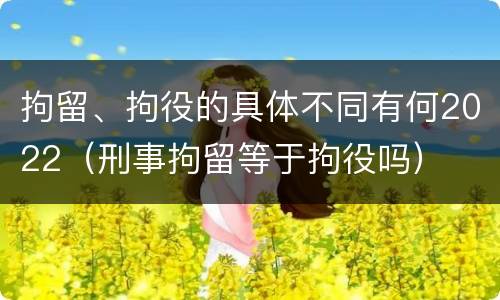 拘留、拘役的具体不同有何2022（刑事拘留等于拘役吗）