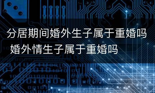分居期间婚外生子属于重婚吗 婚外情生子属于重婚吗