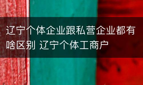 辽宁个体企业跟私营企业都有啥区别 辽宁个体工商户