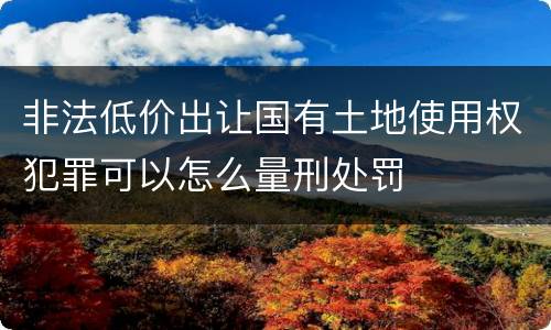 非法低价出让国有土地使用权犯罪可以怎么量刑处罚