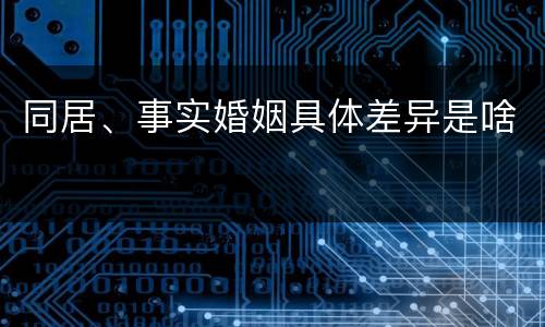 同居、事实婚姻具体差异是啥