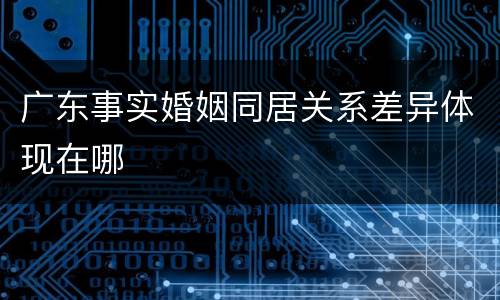 广东事实婚姻同居关系差异体现在哪