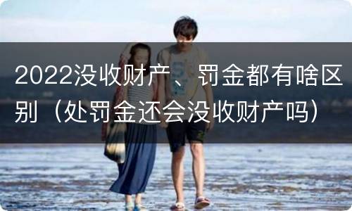 2022没收财产、罚金都有啥区别（处罚金还会没收财产吗）