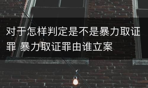对于怎样判定是不是暴力取证罪 暴力取证罪由谁立案