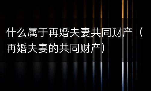 什么属于再婚夫妻共同财产（再婚夫妻的共同财产）