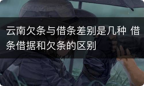 云南欠条与借条差别是几种 借条借据和欠条的区别
