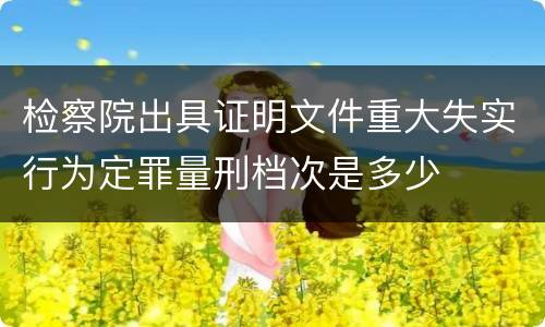 检察院出具证明文件重大失实行为定罪量刑档次是多少