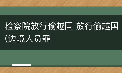 检察院放行偷越国 放行偷越国(边境人员罪