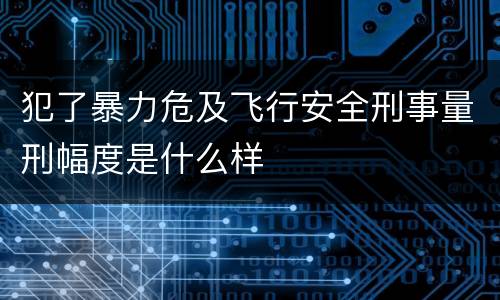 犯了暴力危及飞行安全刑事量刑幅度是什么样