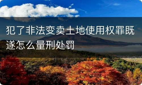 犯了非法变卖土地使用权罪既遂怎么量刑处罚