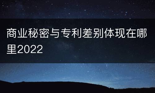 商业秘密与专利差别体现在哪里2022