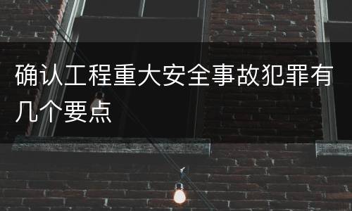 确认工程重大安全事故犯罪有几个要点